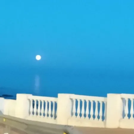 Plaza Del Remo Seewt&beach Torremolinos